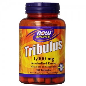 Now Foods, Tribulus 나우푸드 트리불러스 1,000 mg, 90 정